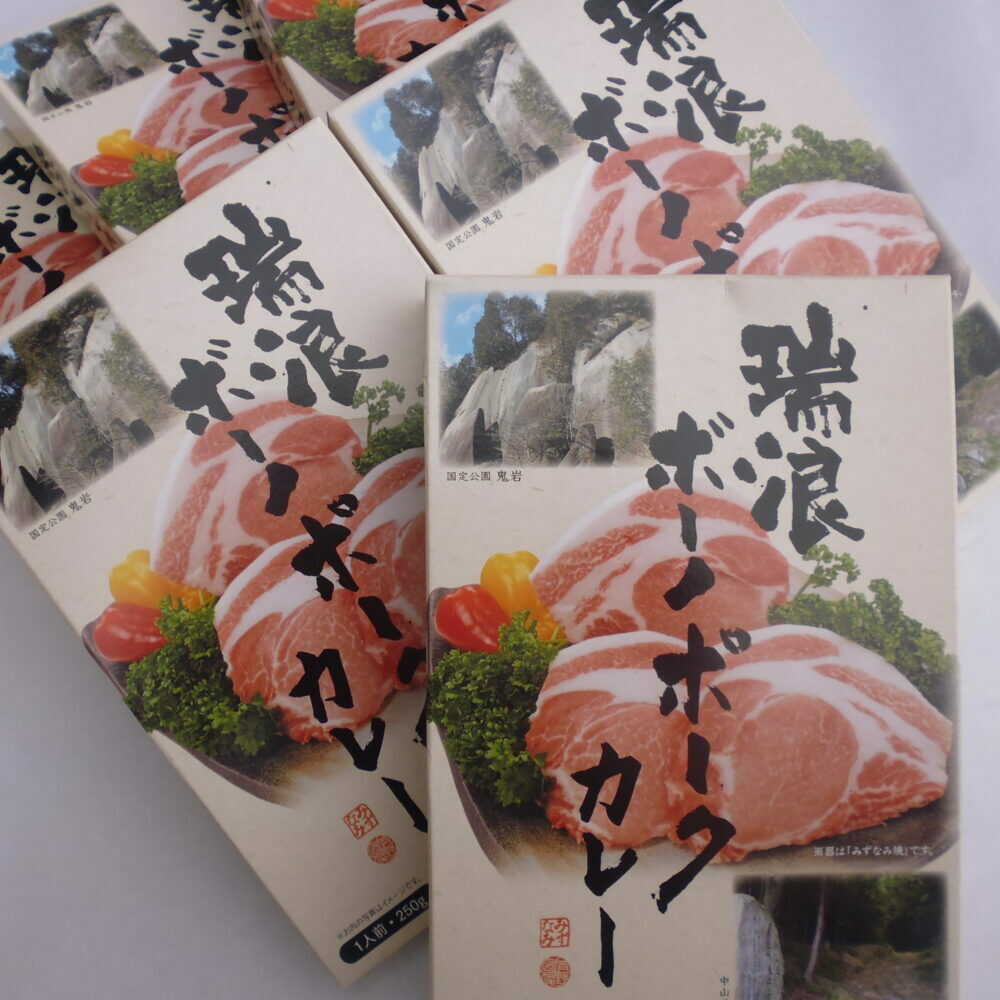【ふるさと納税】瑞浪ボーノポークカレー 250g×6個 瑞浪市 / きなぁた瑞浪 レトルト ギフト ポークカレー[AZCI001]