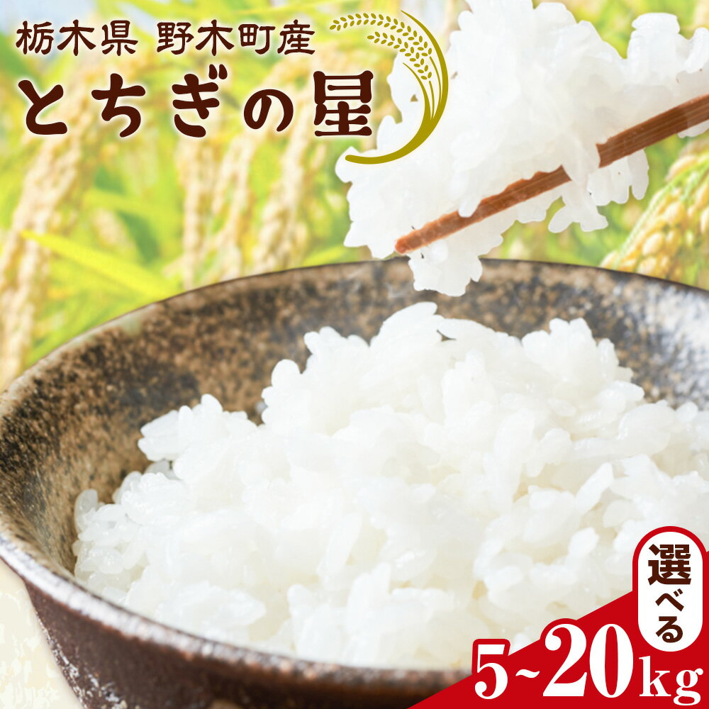 【ふるさと納税】先行予約 令和7年産 米 お米 白米 精米 とちぎの星 5kg《2025年12月下旬-2月下旬頃出荷》 栃木県 野木町産 コメ 米 ブランド米 とちぎのほし