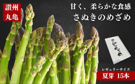 【6月上旬～9月上旬発送】 アスパラガス さぬきのめざめ 1.5kg  夏芽 香川県 丸亀市
