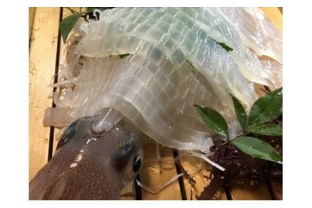 絶品!鐘崎産｢ヤリイカ｣3杯【マルケイ水産】_AS0128-00