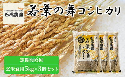 米 若葉の舞 コシヒカリ 玄米食用5Kg×3個セット 定期便6回 こしひかり セット 定期便 お米 玄米 千葉 千葉県 低温保存 [№5346-0862]