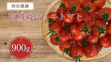 有機栽培ミニトマト 900g 6月～順次配送 ミニトマト