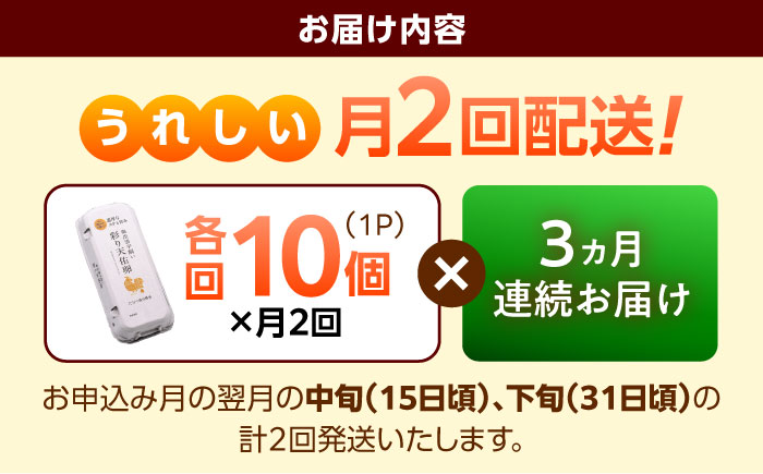 《月2回 × 10個 3ヶ月コース》 たたらの里平飼い 彩り天佑卵 全6回定期便 島根県雲南市/株式会社たなべたたらの里（たなべ森の鶏舎）｜たまご 卵 放牧卵 平飼い卵 新鮮 国産 定期便 [AIDL