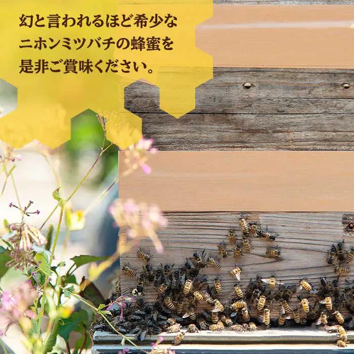 ニホンミツバチ 生蜂蜜 600g [JCL001]  はちみつ ハチミツ