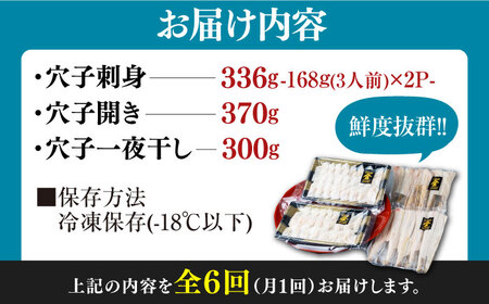 【全6回定期便】対馬産 活〆 穴子 ３点 セット E【THE・対馬株式会社】《対馬市》新鮮 あなご 刺身 天ぷら 海鮮 肉厚 簡単調理 六人前[WAS019]