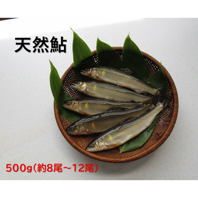 【ふるさと納税】【先行予約】八戸川 天然鮎（0.5kg）＜2025年6月10日よりお届け＞ 魚介 魚貝類 鮎 天然鮎 あゆ 天然 冷凍 先行予約 【192_2003】