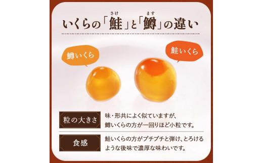 【7月発送】知床羅臼産 時鮭（ときしらず）の親子漬け・醤油いくらセット（計500g）イクラ しょうゆ漬け 秋サケ さけ 海鮮 魚介 北海道 詰め合わせ 生産者 支援 応援