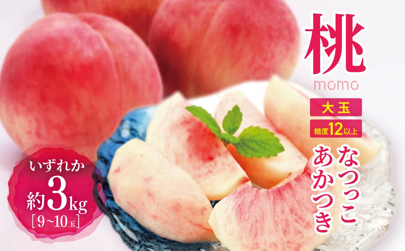 
                  【先行受付】信州産桃 旬の桃（なつっこorあかつき）大玉 3kg（9～10玉） ｜ ふるさと納税 松本市 もも 桃 なつっこ あかつき 果物 果汁 甘い 長野県
                