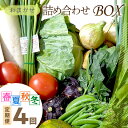 【ふるさと納税】【訳あり／定期便 四季4回】高評価 高レビュー★ 「京都・京丹後産 季節の野菜」お任せ詰め合わせBOX（5品） 定期便4回 食べ方・レシピ付き　京野菜 季節 の 野菜 新鮮 ＜ふるさと納税 野菜・きのこランキング入り＞ 夏野菜 直売所直送 お取り寄せ