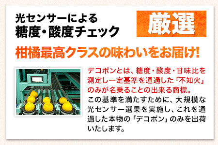  デコポン ご家庭用 デコポン 約5kg 前後(約12-24玉前後) 訳あり 《2月上旬-4月末頃出荷》