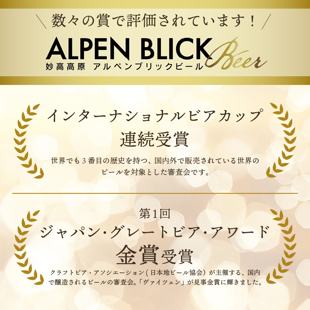 世界五大ビール審査会でトリプル受賞!妙高高原アルペンブリックビール3種ギフトセット(500ml×6本)【新潟県妙高市】