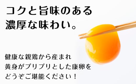 こだわりたまご 康卵 90個 破損保証10個含む 赤 Mサイズ