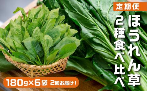 《期間限定》《定期便》ほうれん草2回2種食べ比べ定期便 山之村 なかだファーム ［Q1286］