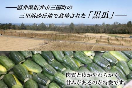 産地直送の「黒瓜の粕漬け」 1kg 【数量限定品】【A-0702】