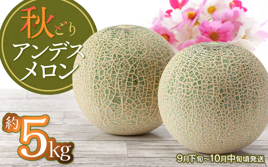 
            【令和7年産先行予約】 秋どりアンデスメロン 約5kg (3～4玉入) 山形県鶴岡市産 庄内砂丘メロン　小林ファーム
          