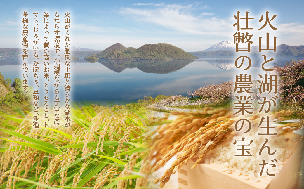 【令和7年産 6ヶ月定期配送】（精米6kg）食べ比べセット（ゆめぴりか、ななつぼし）　SBTD131