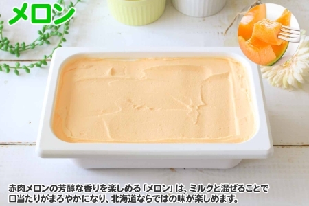 595.アイスクリーム メロン ジェラート 業務用 2リットル 2L アイス 大容量  手作り 北海道 弟子屈町