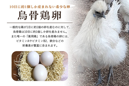 平飼い極上のうこっけいの卵24個（20＋補償4個）×定期便12回 たまご 玉子 烏骨鶏 烏骨鶏の卵 安全 テレビ TV マニアさん 健康 美容 ご飯 すき焼き 目玉焼き 卵焼き 玉子焼き たまご焼き 