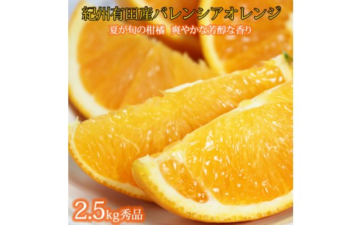 秀品　希少な国産バレンシアオレンジ　2.5kg　※2026年6月下旬頃～7月上旬頃 順次発送（お届け日指定不可） / オレンジ みかん 柑橘 果物 果実 バレンシア【uot752】