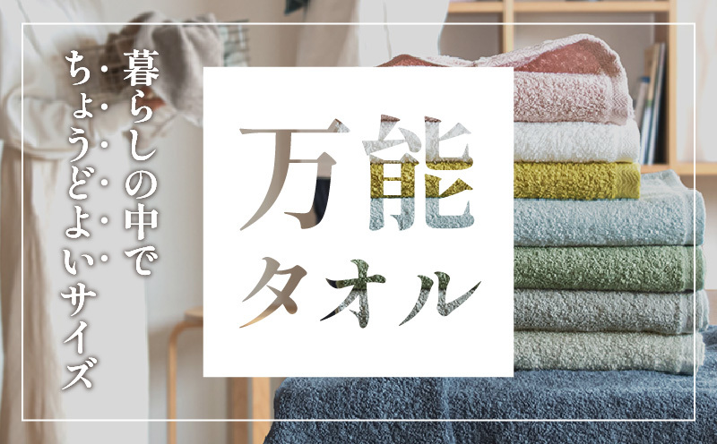 泉州タオル ラージフェイス6枚セット 010B071_イメージ2