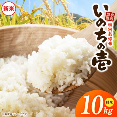 ふるさと納税 小牧市 【R8年産新米 先行受付】特別栽培米「いのちの壱」(10kg)<農家直送> [208K02]