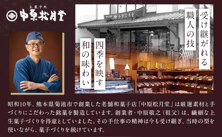菊池銘菓 ブッセシリーズ 詰め合わせセット 1箱12個入り 3種×各4個 有限会社中原松月堂《30日以内に出荷予定(土日祝除く)》熊本県 菊池市 和菓子 洋菓子 お菓子 焼き菓子 菓子折り 銘菓 抹茶
