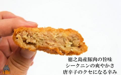 徳之島の新じゃが使用！2種のコロッケ&徳之島の豚メンチカツ食べ比べ（15個）（ じゃがいも 新じゃが 豚肉 たまねぎ 唐辛子 ヤマシークニン おかず お弁当 おつまみ 肉汁 美味しい 簡単 鹿児島 )
