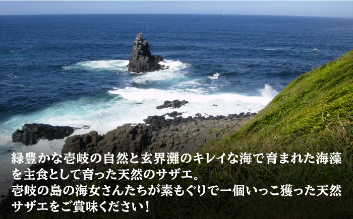 サザエ 秘伝のタレ さざえ つぼ焼き 《壱岐市》【天下御免】[JDB002] 15000 15000円