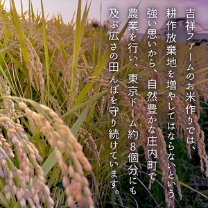 ＜5月中旬発送＞庄内米6か月定期便！吉祥ファーム つや姫 6kg【入金期限：2026.4.25】2kg×3袋 ブランド米 米 国産 単一原料米 山形 庄内平野 コシヒカリの原点、亀の尾発祥の地 庄内 