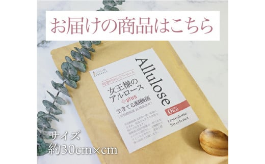 アルロースプラス酪酸菌 (500g) アルロース 酪酸菌 F21E-025