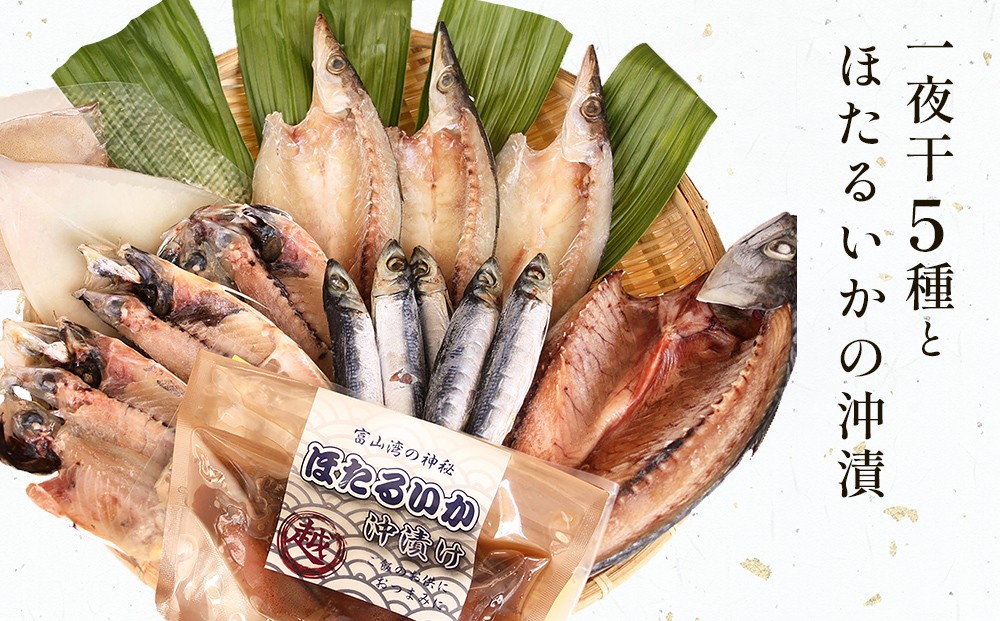 
            【氷見 堀与】 一夜干し5種とほたるいかの沖漬 
          