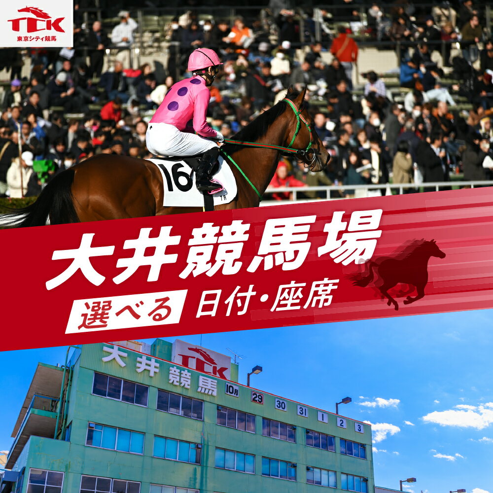 【ふるさと納税】【選べる座席・日付】大井競馬場指定席 （ダイアモンドターン ロイヤルボックス 10名席 / Aブロック 2名席 / Cブロック 4名席 L-WING4階ウイングボックス 9月5日 または 10月10日 ) / 体験 チケット レース観戦 東京都 品川区