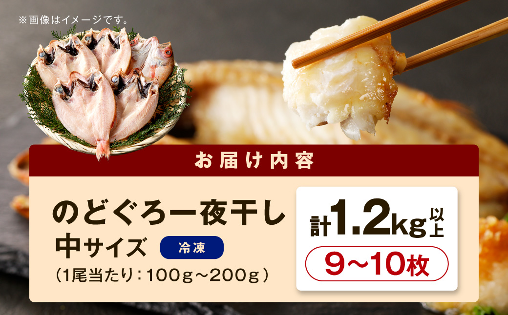 シーライフのどぐろ一夜干し9～10枚で計1.2kg 「大人気セット」産地直送 アカムツ 干物 一夜干し 手頃 小分け 個包装 ギフト 贈り物【005_2066】