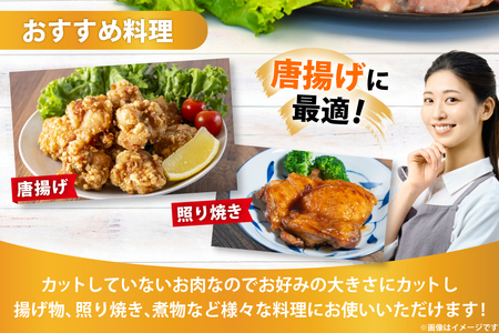 鶏肉 宮崎県産 若鶏もも肉 2kg 鶏肉