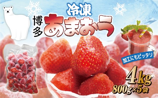 
                  福岡県産冷凍あまおう4kg(800g×5袋)  [M1002]
                
