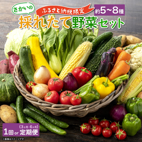 【定期便/連続お届け】さかいの採れたて 野菜セット(5～8種) 道の駅さかい おまかせ 産地直送 新鮮　1回 or 3ヶ月 or 6ヶ月