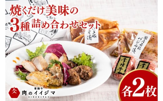 焼くだけ美味の詰め合わせ各2枚セット 常陸牛100％ハンバーグ 茨城豚ロースみそ漬け 国産若鶏ももバジル味付け 詰め合わせセット 国産牛 黒毛和牛 父の日 お取り寄せ お祝い 内祝い 出産 結婚 快気祝いプレゼント 誕生日 ギフト対応  茨城県 水戸市 肉のイイジマ（DU-129）