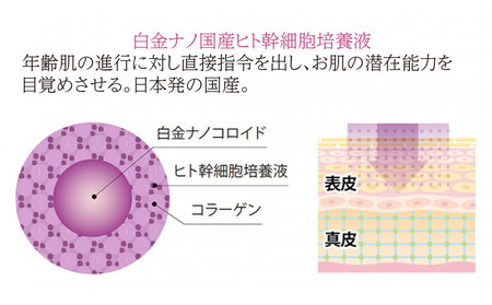 ストレピア　プラチナリフティフェイスクリーム APA0004