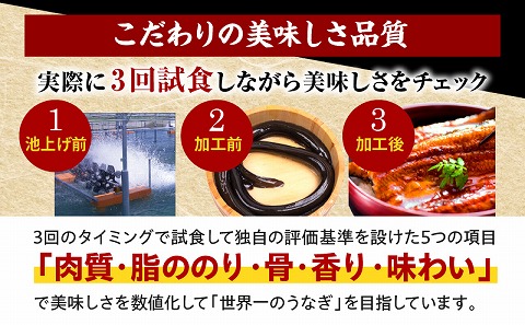 国産うなぎ 蒲焼6尾(計1,020g以上) 鰻蒲焼用たれとさんしょうのセット|うなぎ1尾170g以上の鰻6尾からなるウナギの詰め合わせ