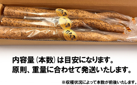 自然薯1kg(カット済)【2024年12月～2025年3月ごろ発送予定】【 じねんじょ とろろ 山芋 自然薯下妻 自然薯茨城 自然薯とろろ 自然薯人気 自然薯カット 】