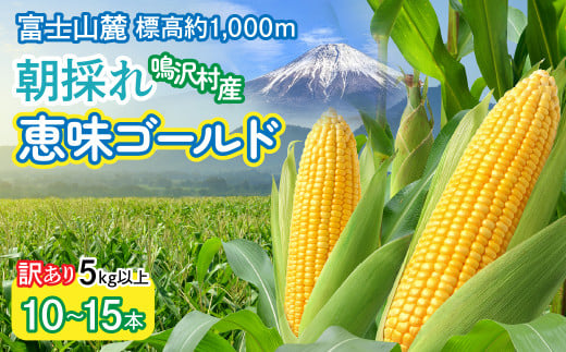 訳あり　とうもろこし　恵味ゴールド　10～15本　５kg以上 NSAK004 | ふるさと納税 とうもろこし トウモロコシ ジューシー 朝採りコーン 野菜 山梨県 鳴沢村 送料無料 |