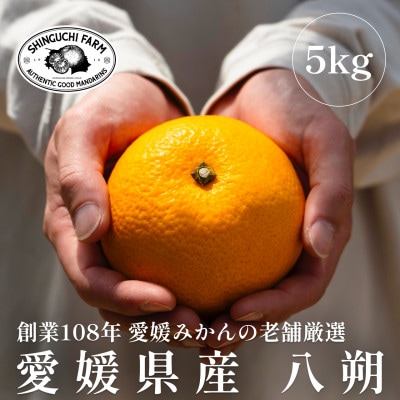 創業百八年 愛媛みかんの老舗【八朔5kg】家庭用【新口農園】【C70−28】【1470659】