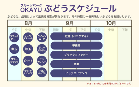 【先行予約】9月特選 ぶどうセットL 1.7kg以上（3～4房）／ 葡萄 クイーンニーナ 品種 おまかせ あわら 農家おすすめ ※2025年9月より順次発送 [aw007-b003]