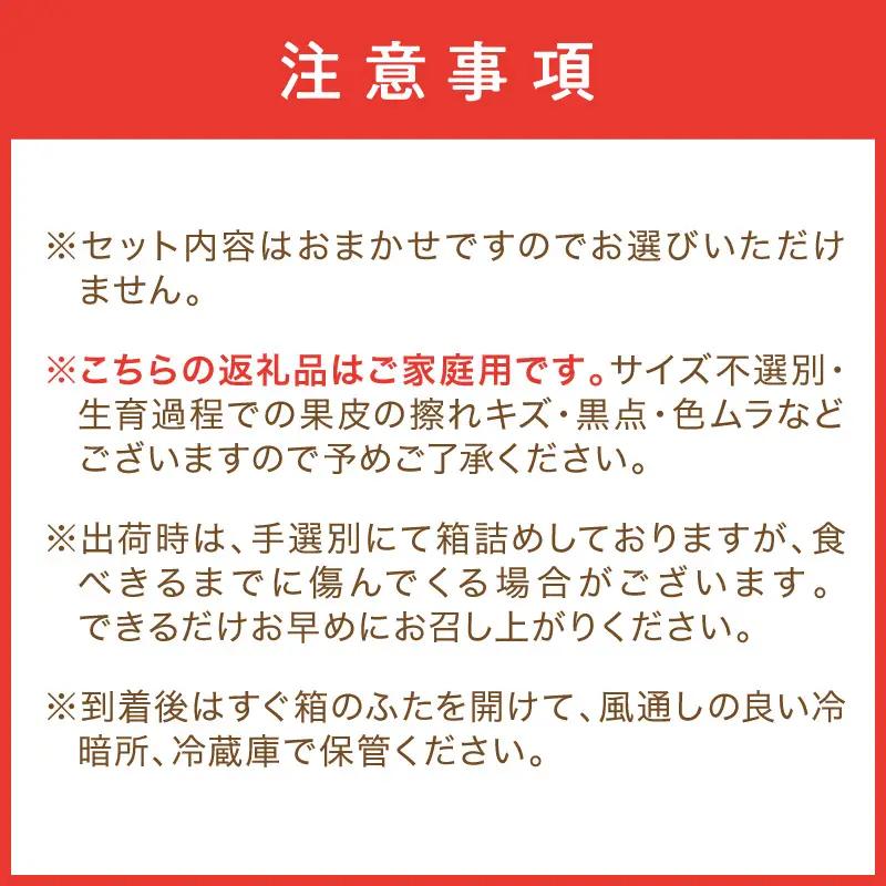 柑橘詰め合わせセット 家庭用4種以上 約7kg 和歌山産≪先行予約2027年1月下旬頃より順次発送分≫【1142-4】
