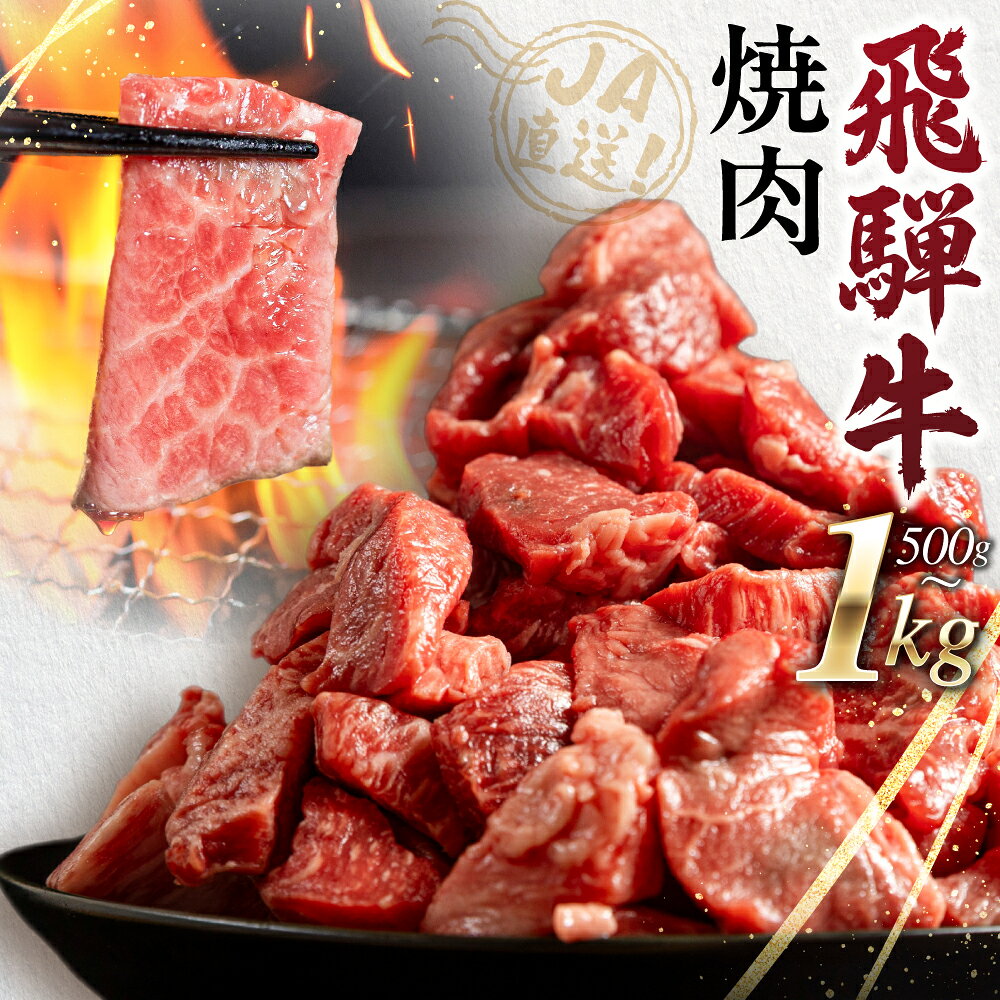 【ふるさと納税】飛騨牛 焼肉 切り落とし 肉 1kg 切落し 牛肉 肉 バーベキュー BBQ セット 和牛 焼肉 部位おまかせ ごちそう 贅沢 大容量 人気 おすすめ アウトドア 国産 冷凍 [S201] 発送月が選べる 訳あり 訳アリ JA飛騨 ひだ 白川村 14000円 25000円