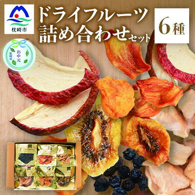 【ふるさと納税】【のし付き・お中元】無添加 ドライフルーツ 詰合せ 【6種類】 fラボ　A3-161C【1631628】