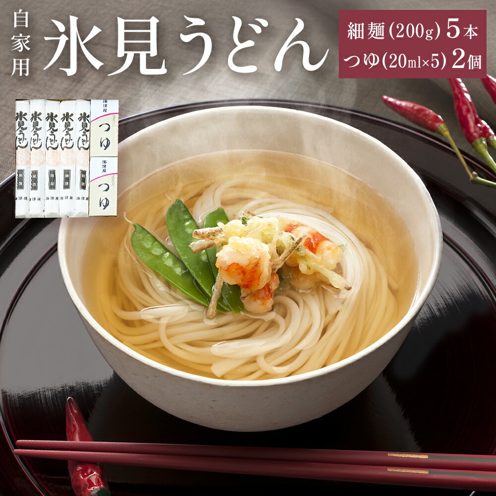 【ふるさと納税】海津屋　氷見うどん細麺5本・つゆ5袋×2（自家用）簡易箱 富山県 氷見市 乾麺 うどん