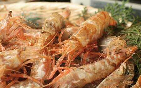 【23006】モサエビ　約500g