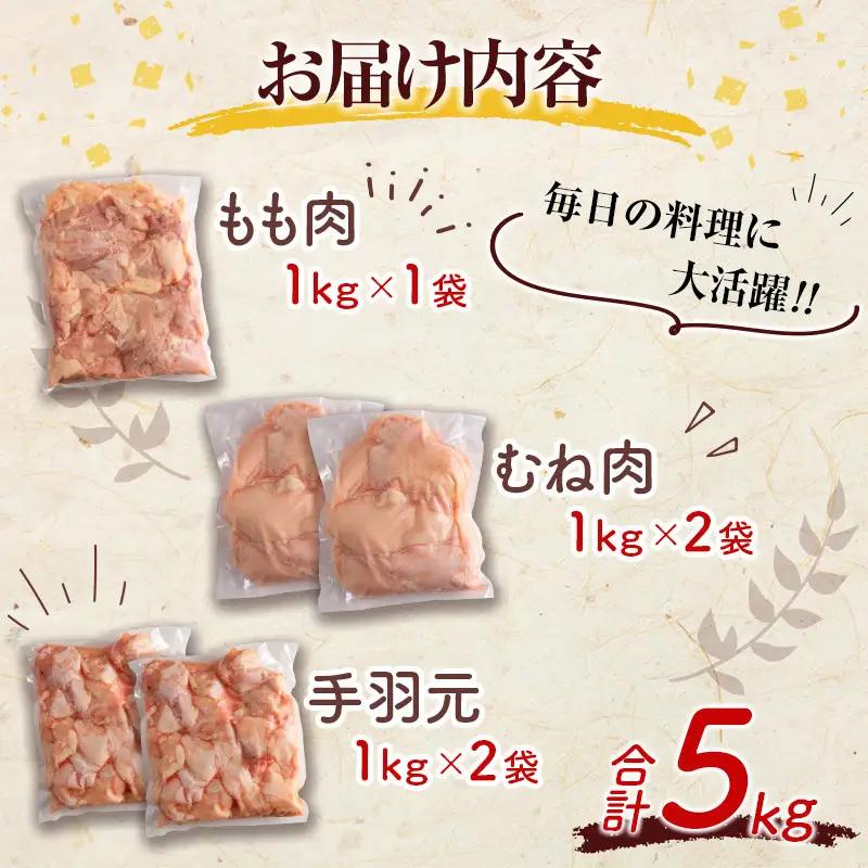 宮崎県産鶏肉 スペシャル鶏三昧セット 合計5kg【B607-2505】