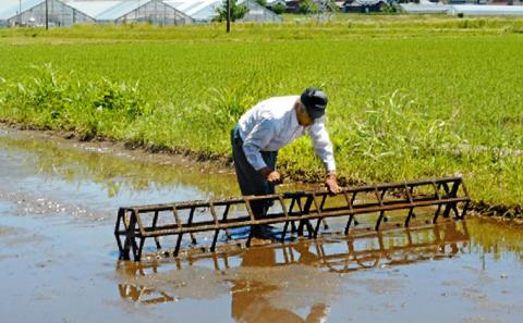 【令和5年産】ベストファーマー 自然栽培農家「四郎兵衛」の お米 あきさかり 5kg 白米 精米 無農薬 無肥料 無除草剤による自然栽培米